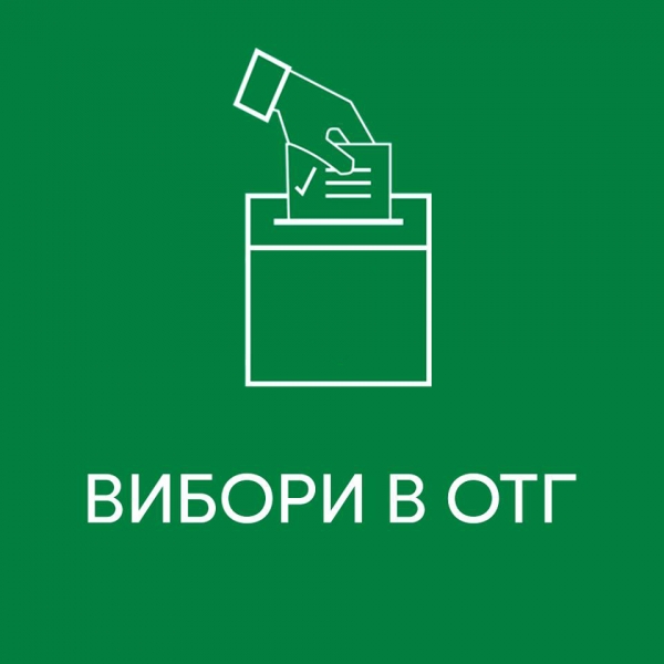 30 червня 2019 року відбулись перші вибори Томашівського сільського голови і перші вибори депутатів Томашівської сільської ради. 