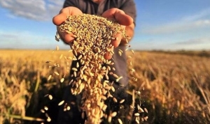25.06.2019 року відділом агропромислового розвитку було організовано та проведено виробничу нараду з керівниками сільськогосподарських підприємств району