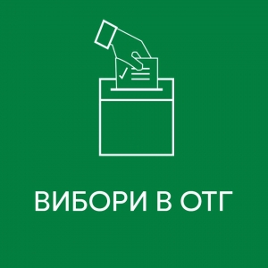 30 червня 2019 року відбулись перші вибори Томашівського сільського голови і перші вибори депутатів Томашівської сільської ради.&nbsp;