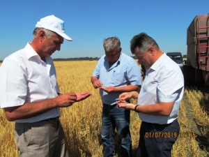 Жнива 2019 стартували