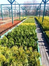 Фастівська районна рада завжди підтримує ініціативу інвестування в економіку району.