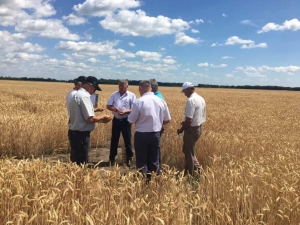 День поля у ВП НУБіП України  &laquo;Великоснітинське НДГ ім.О.В.Музиченка&raquo;