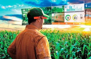 Про підсумки роботи АПК району&nbsp;за І півріччя 2019 року